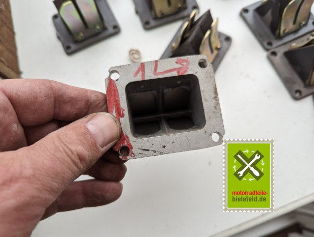 PXL_20240518_154137065